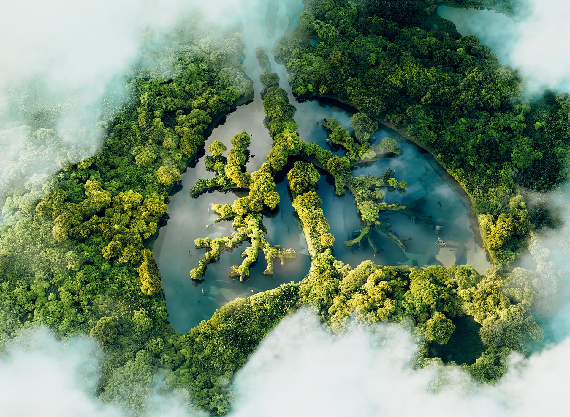 Good Things Come in Trees: Let's Take Care of the Air we Breathe