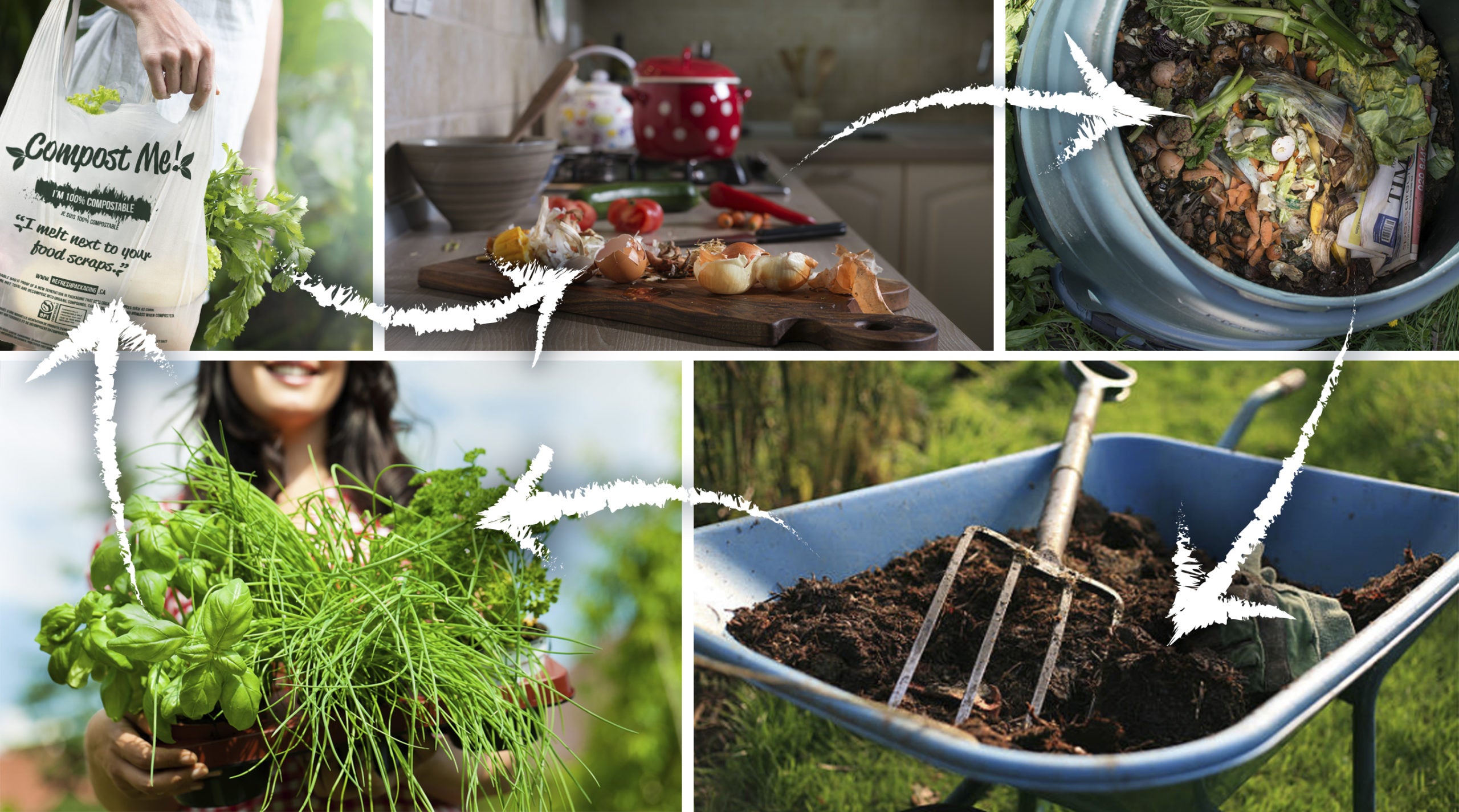 The life cycle of a compostable bag