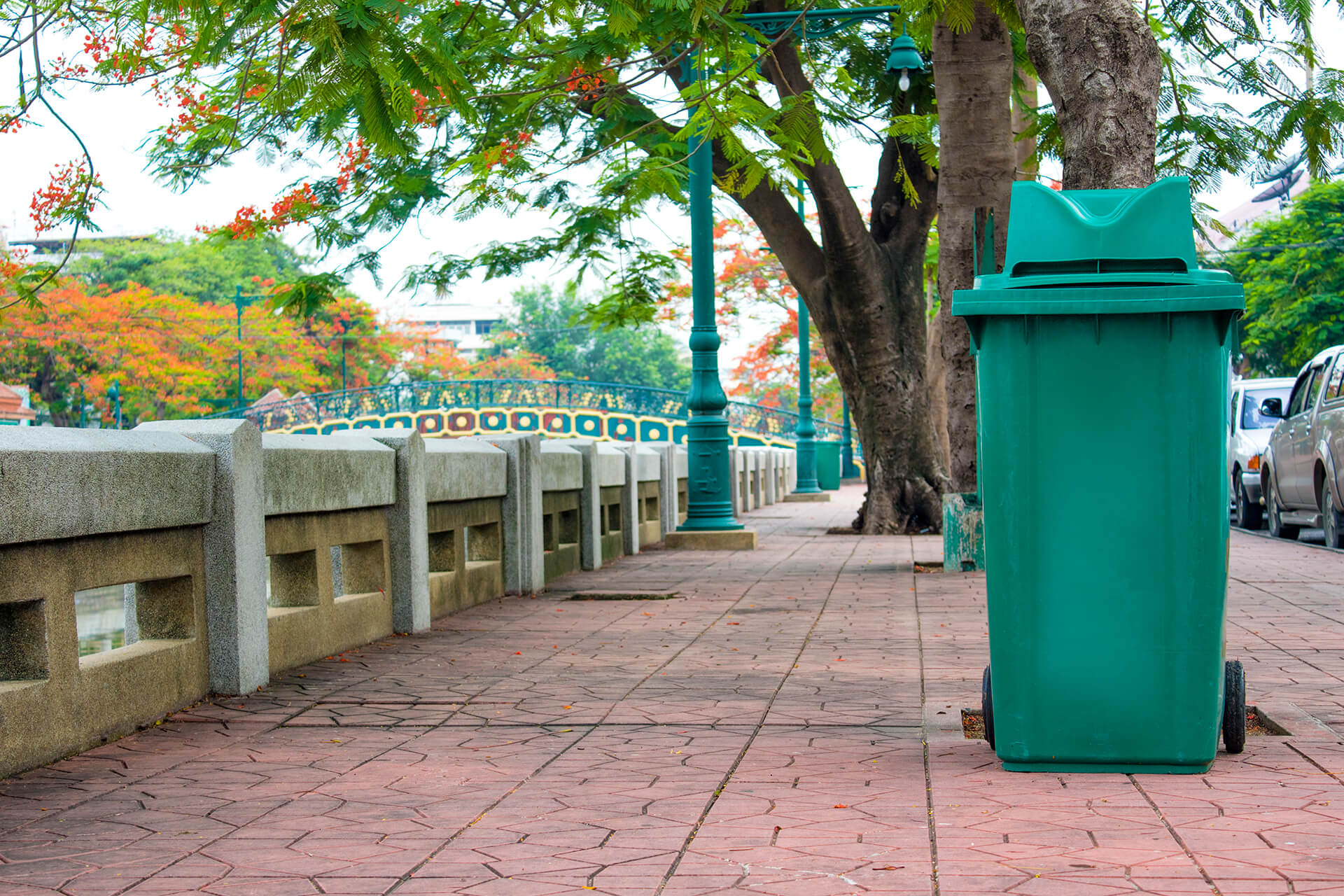 Who has made the switch to compostable plastics? Check out the successes of cities and municipalities in the battle against plastic.