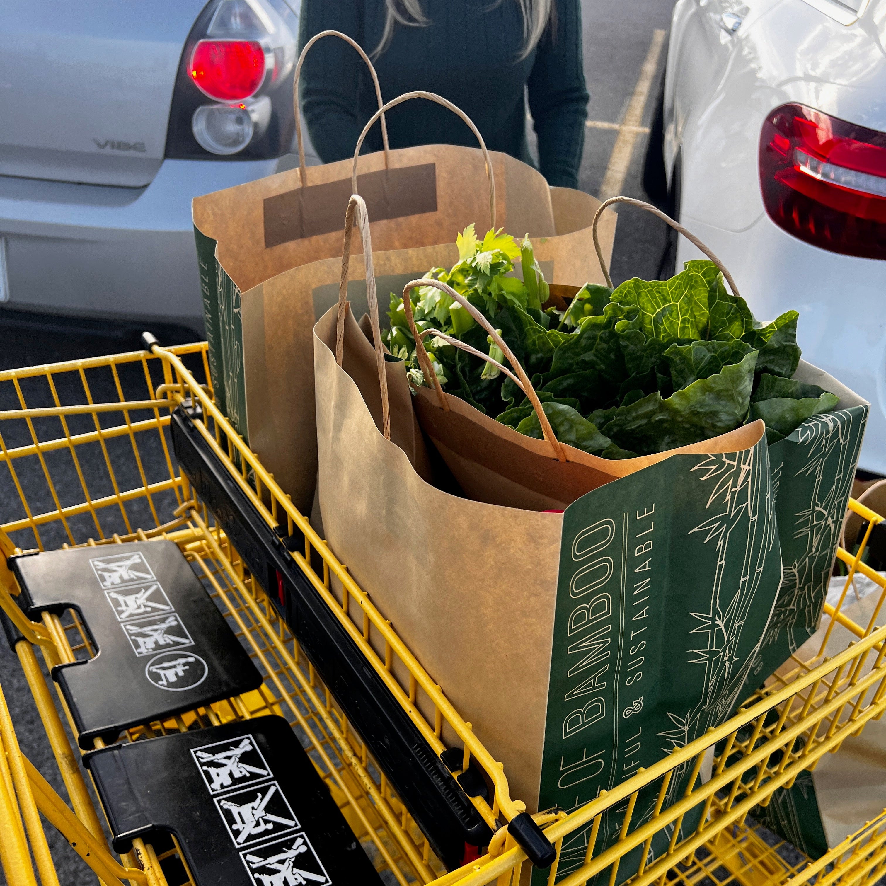 Bamboo Paper Rope Handled Shopping Bags