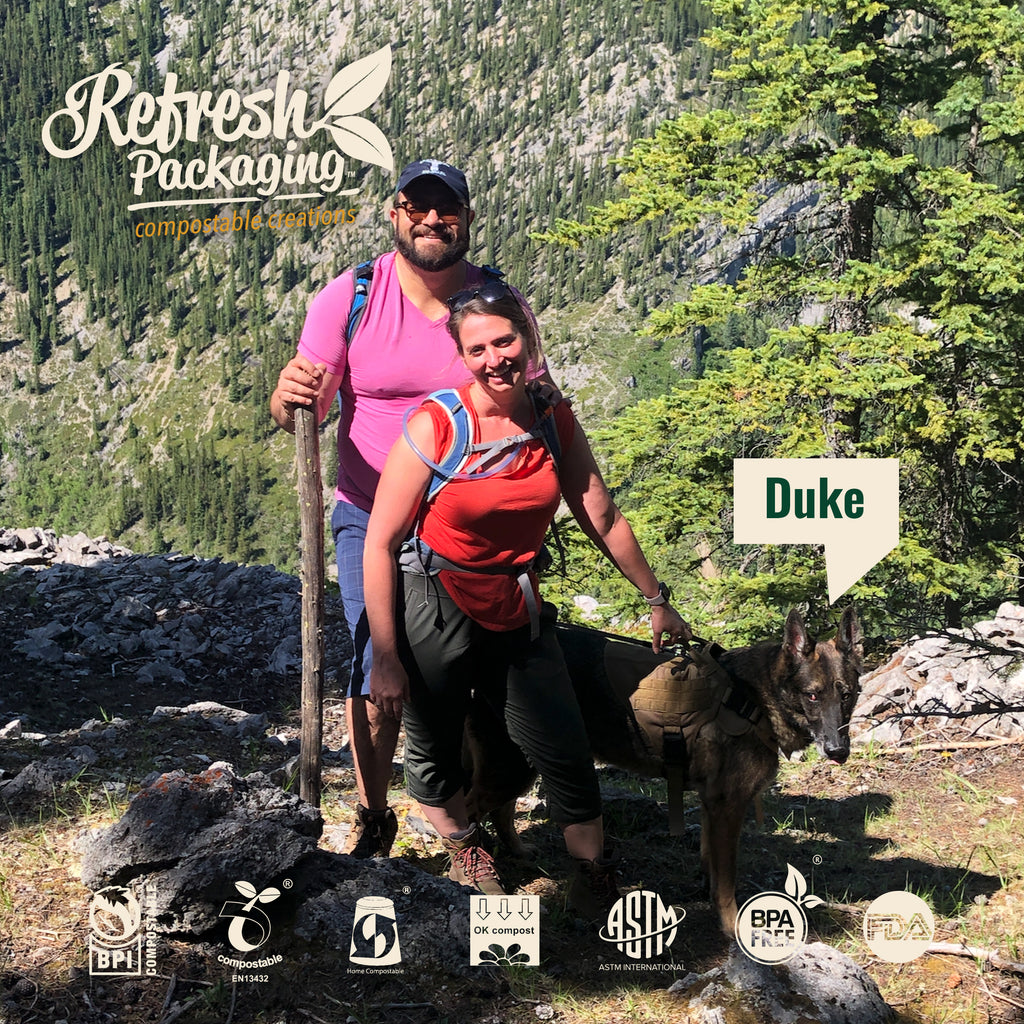 Pet Waste Bags with Handles - 4 Pack - 240 Bags Total