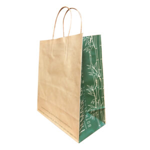 Medium paper shopping check-out bags with handles